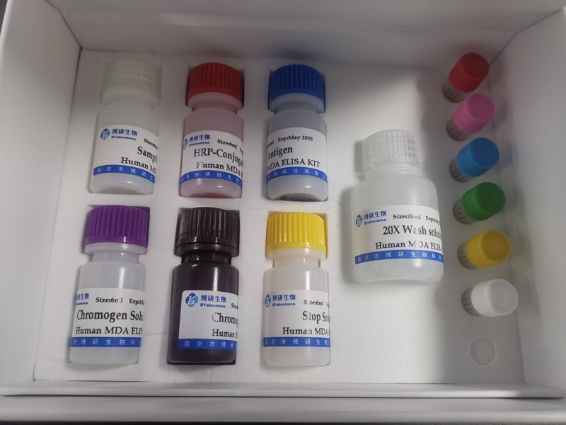 博森生物科技有限公司：行业趋势与发展前景探析